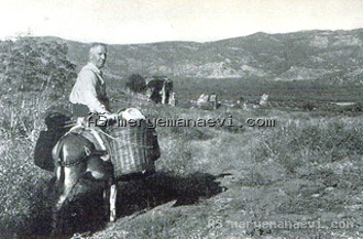 Meryem ana evi fotoğraf arşivi 9 #6 - Meryem Ana Evi Efes Selçuk Fotoğrafı