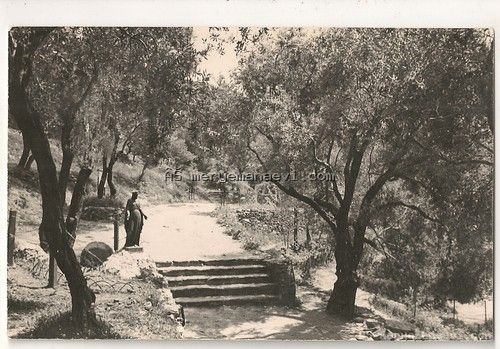 Meryem ana evi fotoğraf arşivi 10 — Fotoğraf 1 - Meryem Ana Evi Efes Selçuk Fotoğrafı